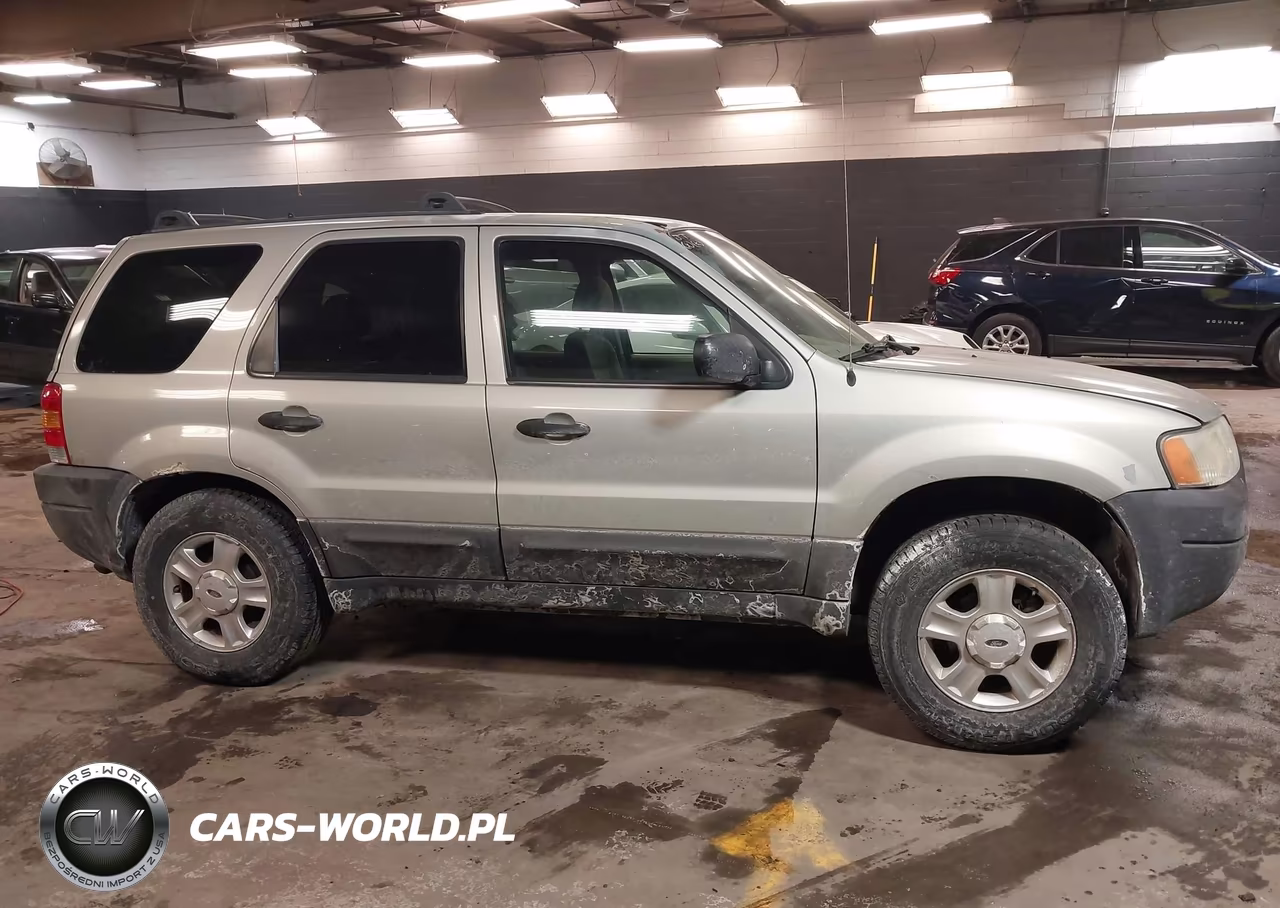 2003 Ford Escape Xlt VIN:1FMYU03133KA73458 - 12