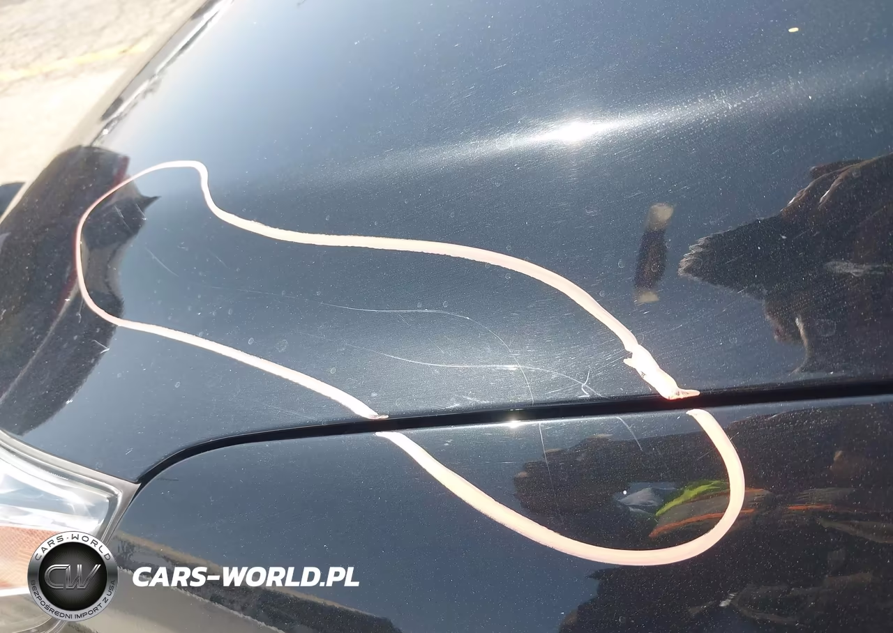 2020 Hyundai Ioniq Hybrid Blue VIN:KMHC65LC6LU218709 - 6