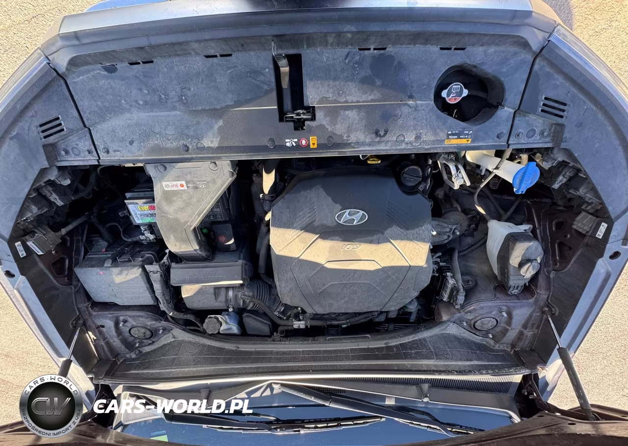 2020 Hyundai Palisade Limited VIN:KM8R5DHE5LU071297 - 10