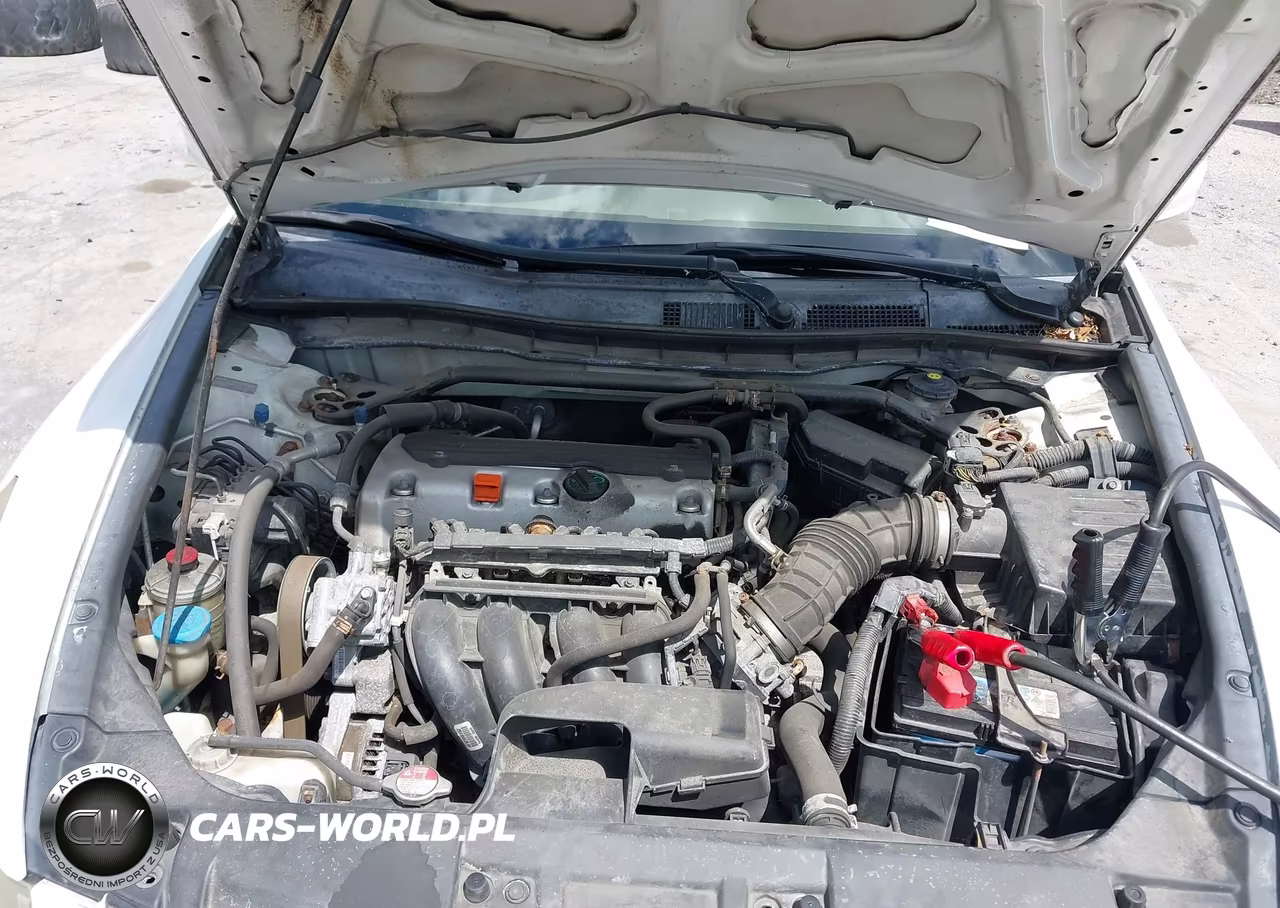 2010 Honda Accord 2.4 Ex VIN:1HGCP2F70AA116627 - 10
