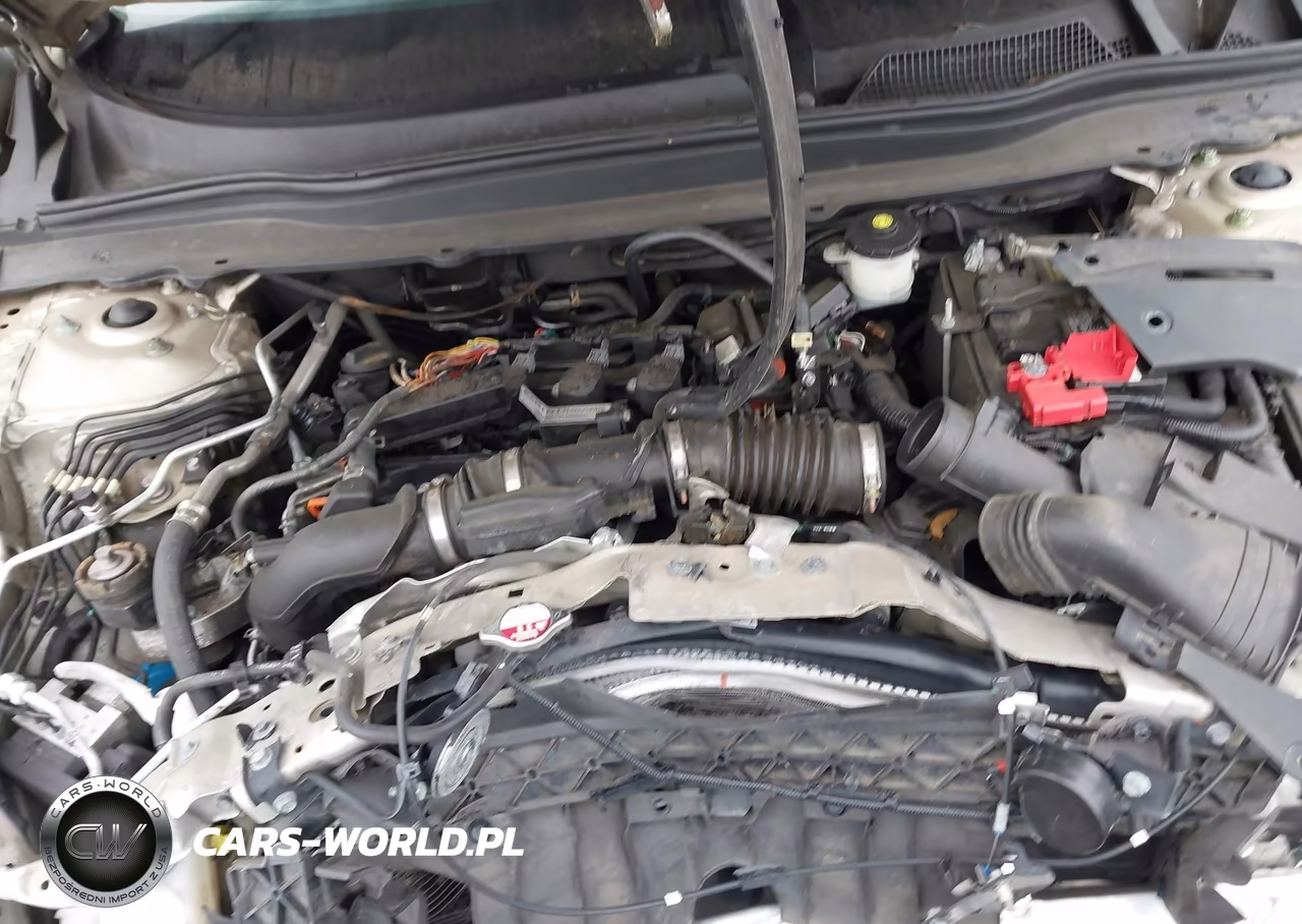 2019 Honda Accord Lx VIN:1HGCV1F12KA096376 - 10