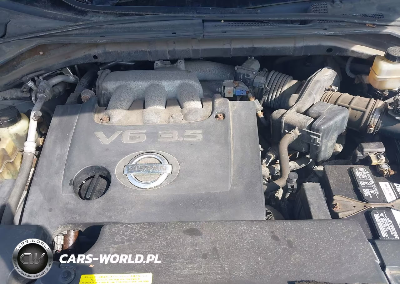 2004 Nissan Murano Sl VIN:JN8AZ08W44W330122 - 10