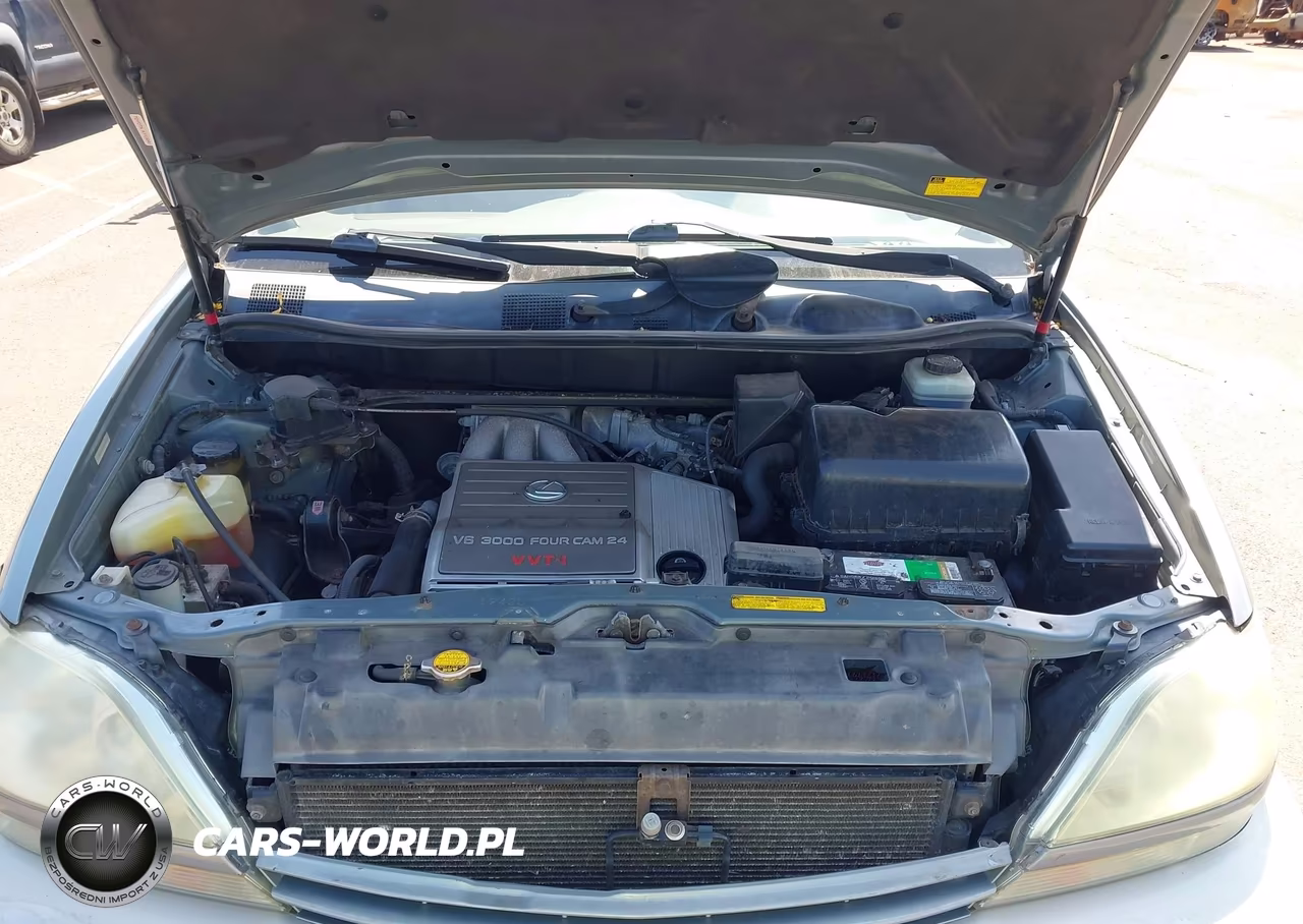 2002 Lexus Rx 300 VIN:JTJHF10U720292272 - 10