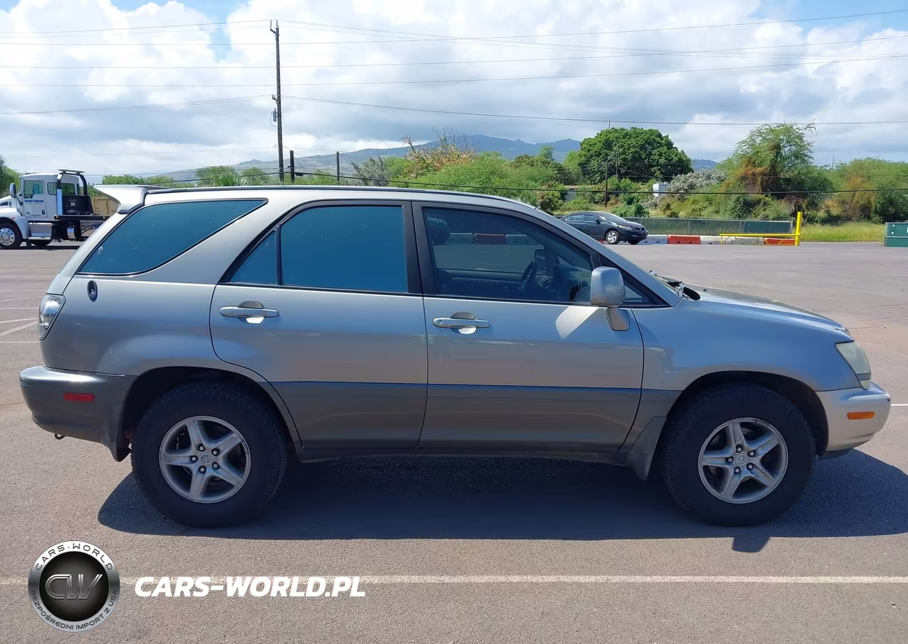 2002 Lexus Rx 300 VIN:JTJHF10U720292272 - 14