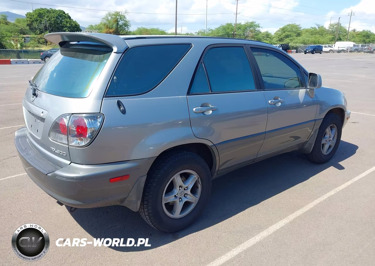 2002 Lexus Rx 300 VIN:JTJHF10U720292272 - 4