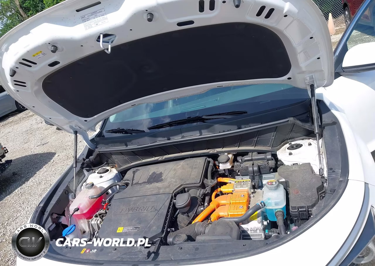 2023 Kia Niro Plug-In Hybrid Ex VIN:KNDCS3LF6P5077512 - 10