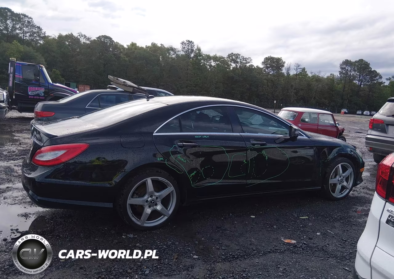 2013 Mercedes-Benz Cls 550 VIN:WDDLJ7DB5DA084594 - 14