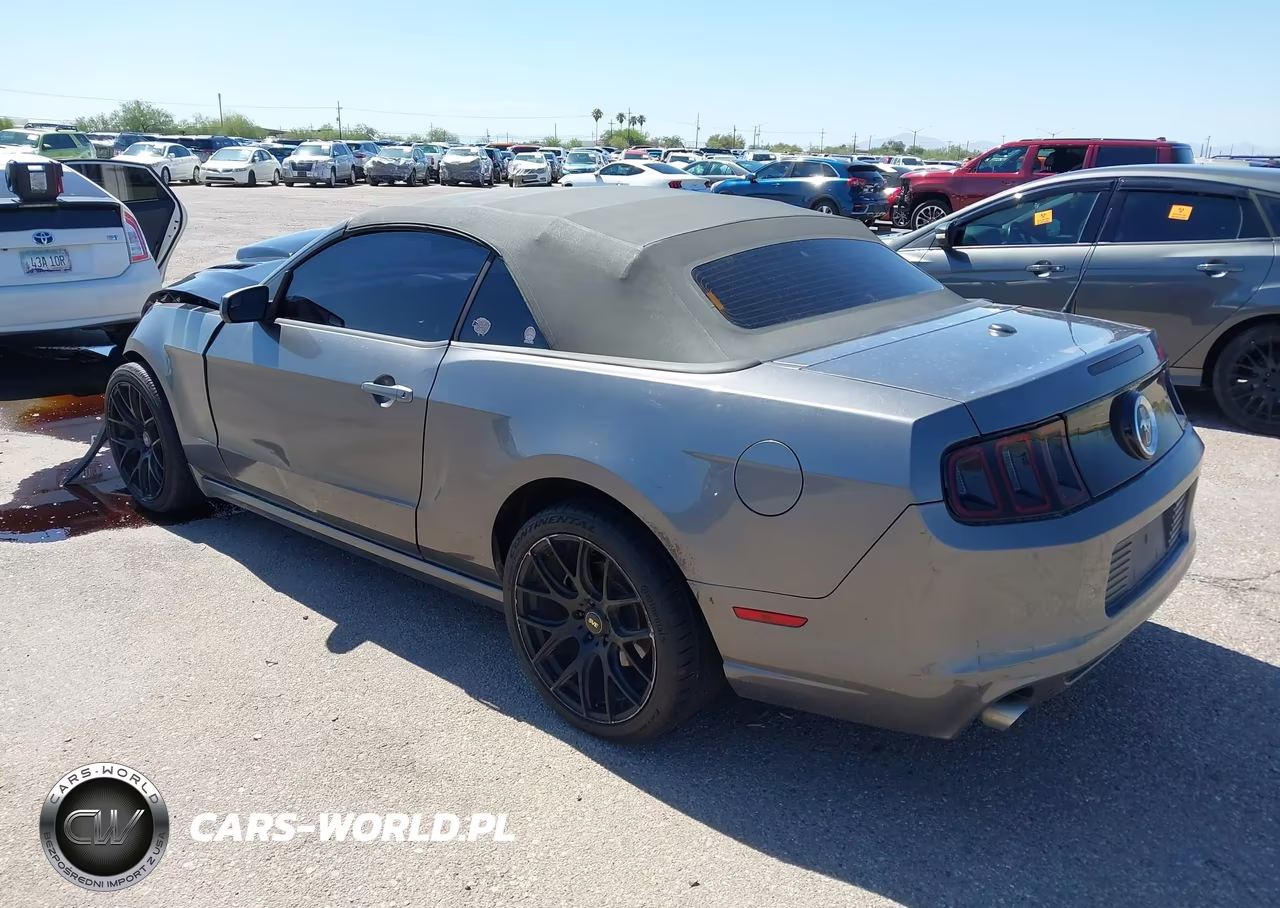 2014 Ford Mustang V6-V6 Premium VIN:1ZVBP8EM8E5328515 - 3