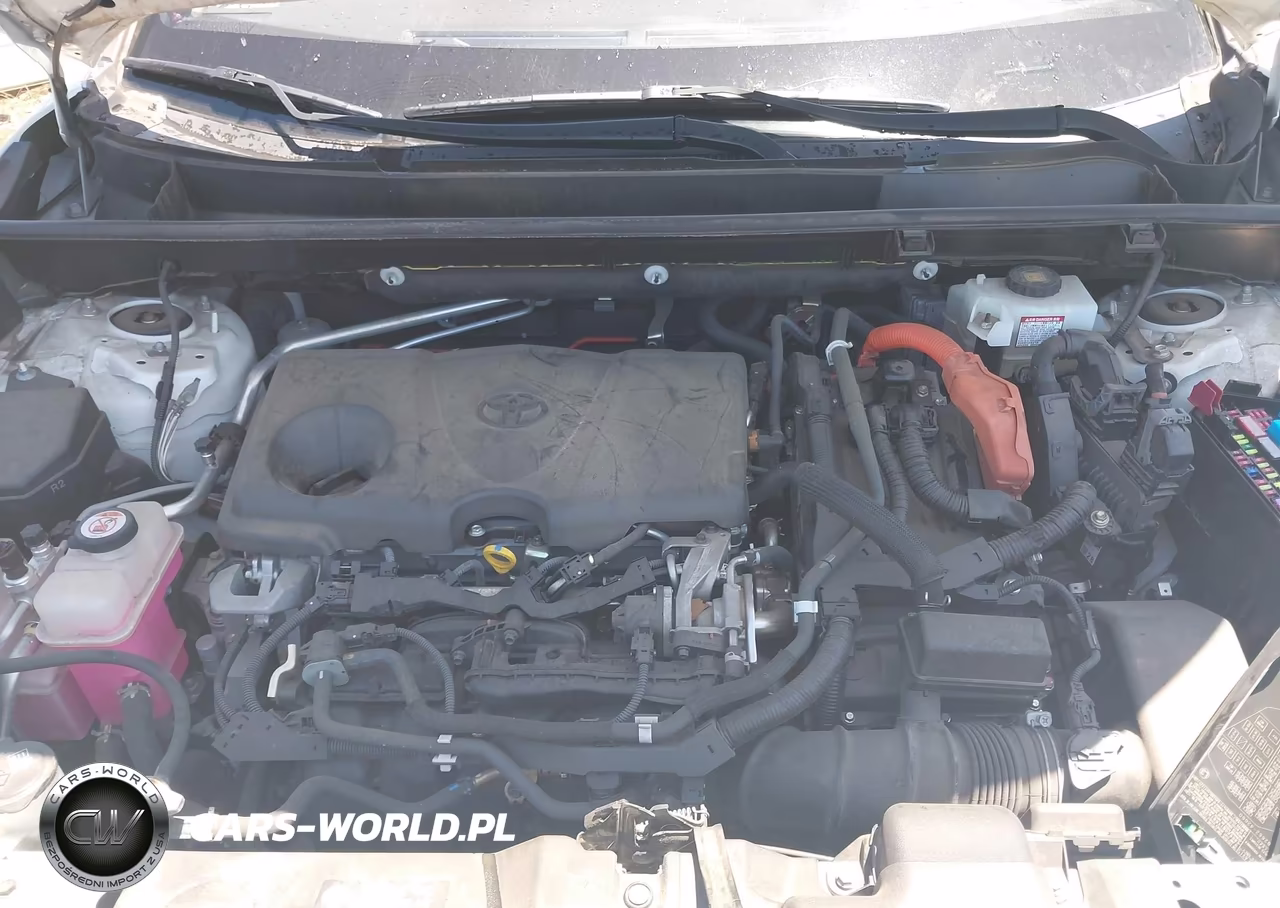 2019 Toyota Rav4 Xse VIN:JTMEWRFV4KD509774 - 10