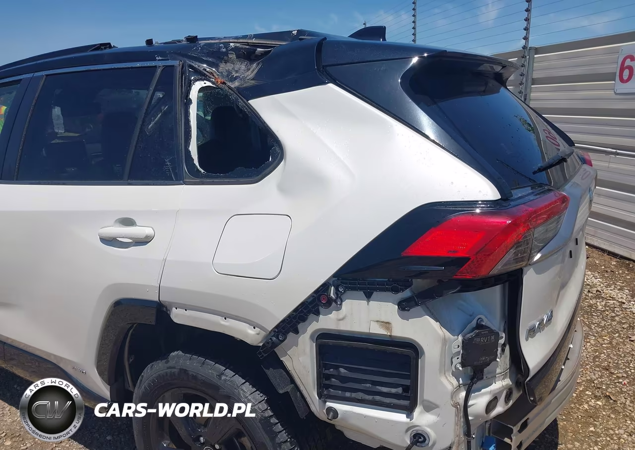 2019 Toyota Rav4 Xse VIN:JTMEWRFV4KD509774 - 6