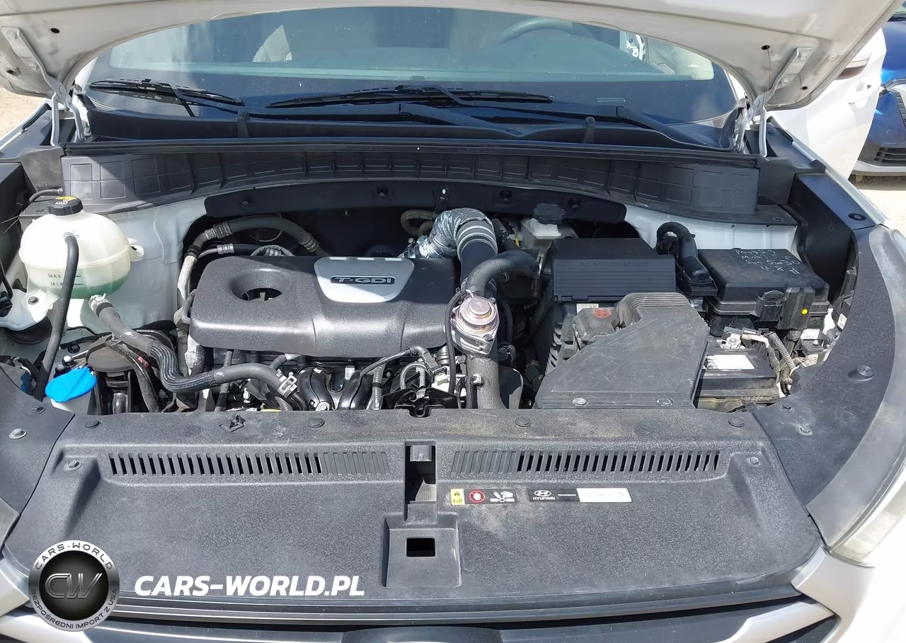 2017 Hyundai Tucson Eco VIN:KM8J33A21HU469076 - 10
