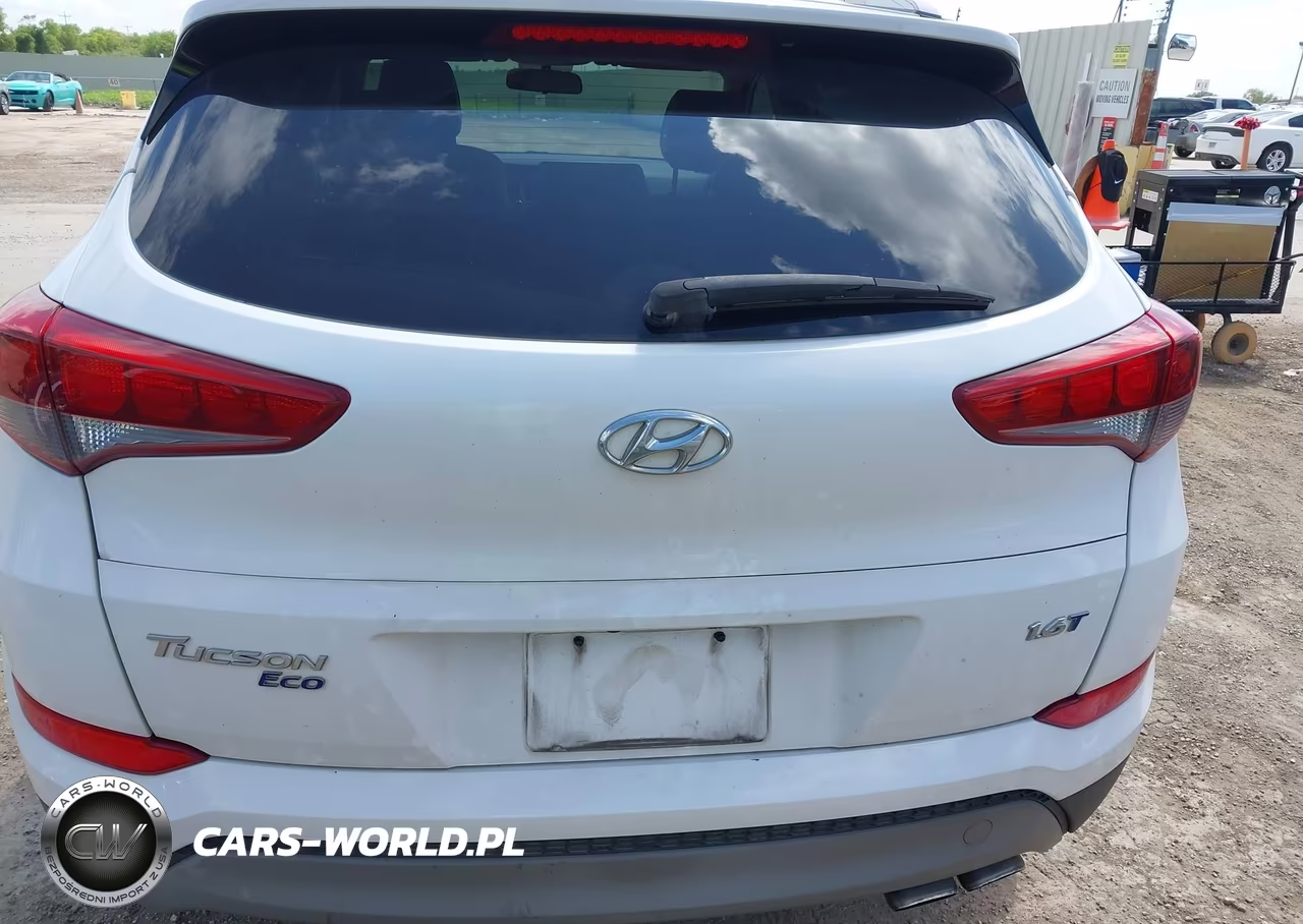 2017 Hyundai Tucson Eco VIN:KM8J33A21HU469076 - 16