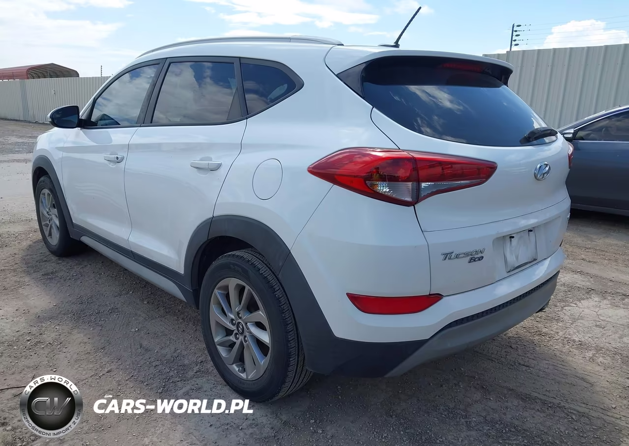 2017 Hyundai Tucson Eco VIN:KM8J33A21HU469076 - 3