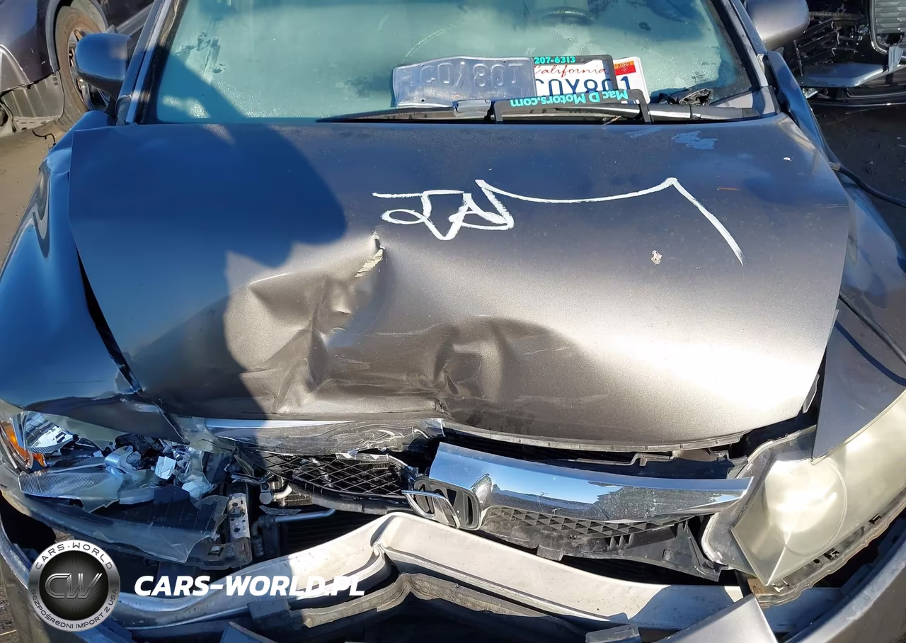 2010 Honda Civic Lx VIN:19XFA1F59AE003939 - 10