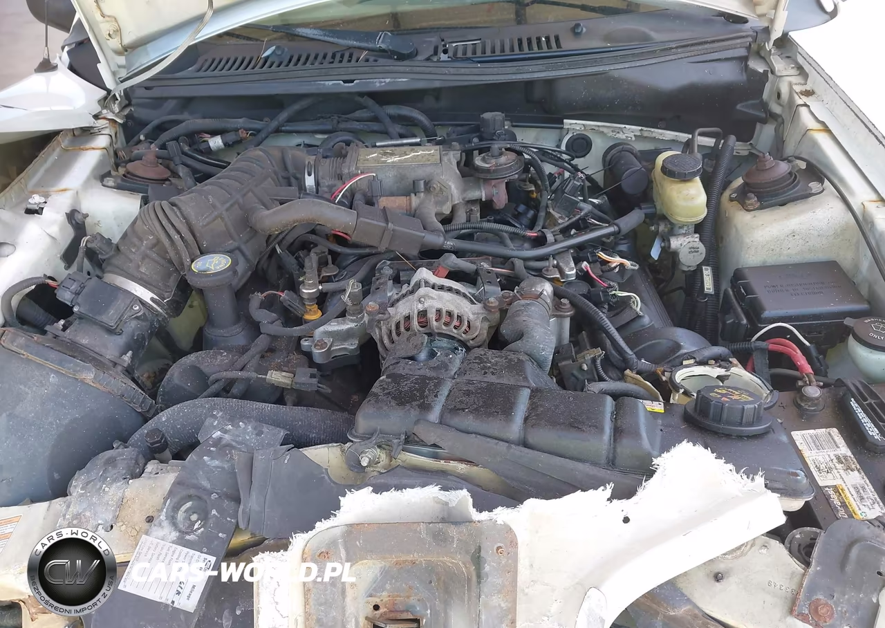 1999 Ford Mustang Gt VIN:1FAFP42X0XF142398 - 10