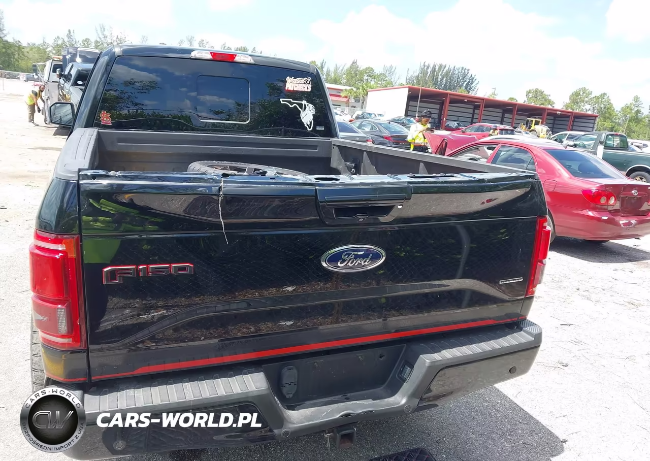 2016 Ford F-150 King Ranch-Lariat-Platinum-Xl-Xlt VIN:1FTFW1EF7GFC50838 - 16