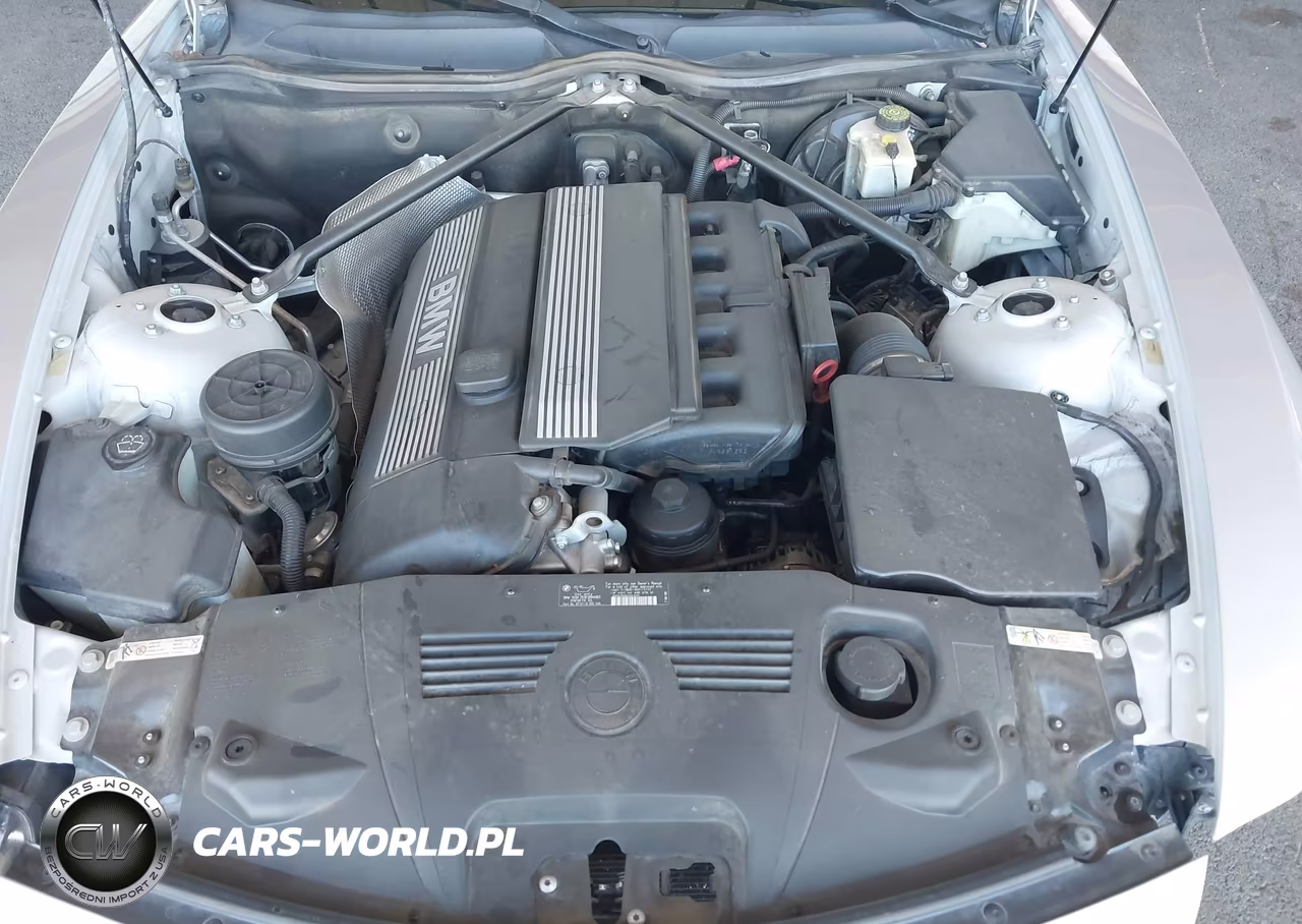 2005 BMW Z4 3.0I VIN:4USBT535X5LU10163 - 10
