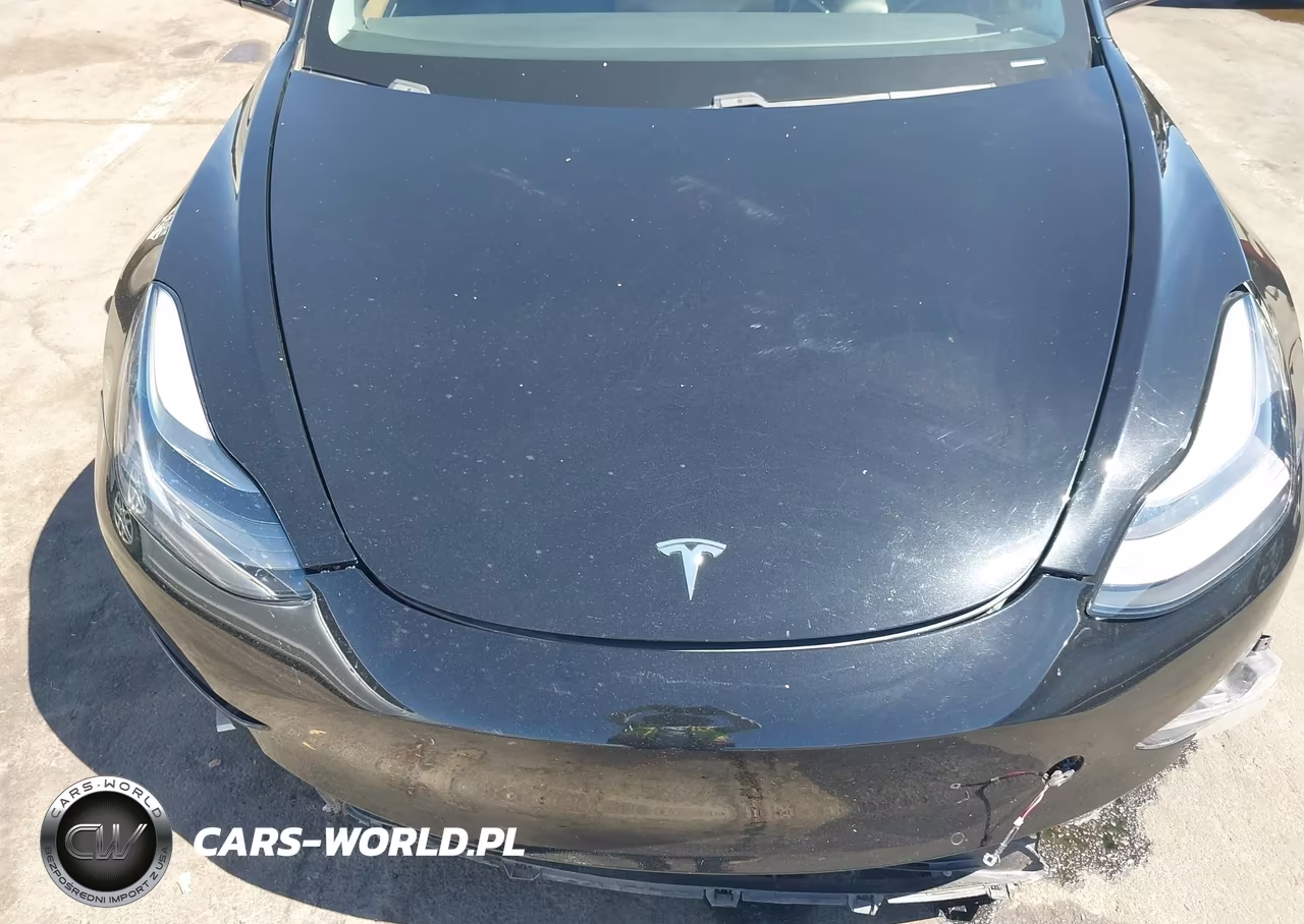 2021 Tesla Model 3 Standard Range Plus Rear-Wheel Drive VIN:5YJ3E1EAXMF062115 - 10