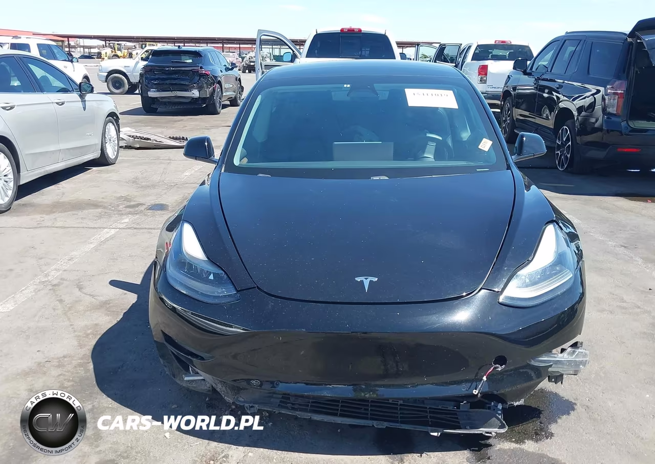 2021 Tesla Model 3 Standard Range Plus Rear-Wheel Drive VIN:5YJ3E1EAXMF062115 - 11