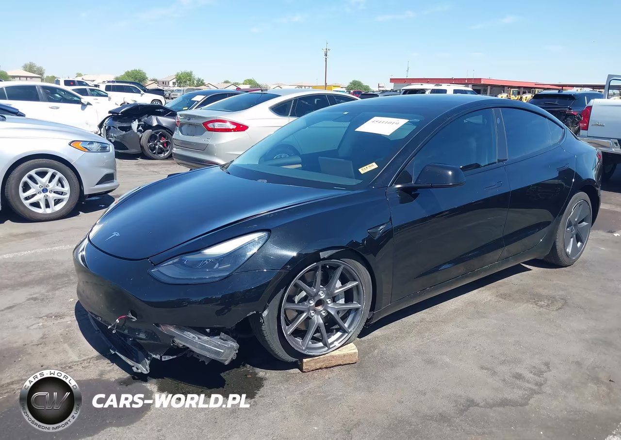 2021 Tesla Model 3 Standard Range Plus Rear-Wheel Drive VIN:5YJ3E1EAXMF062115 - 2