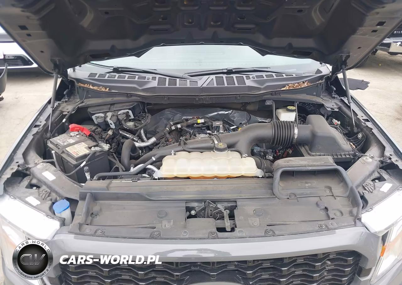 2021 Ford F-150 Xl VIN:1FTEW1CP4MFC64098 - 10