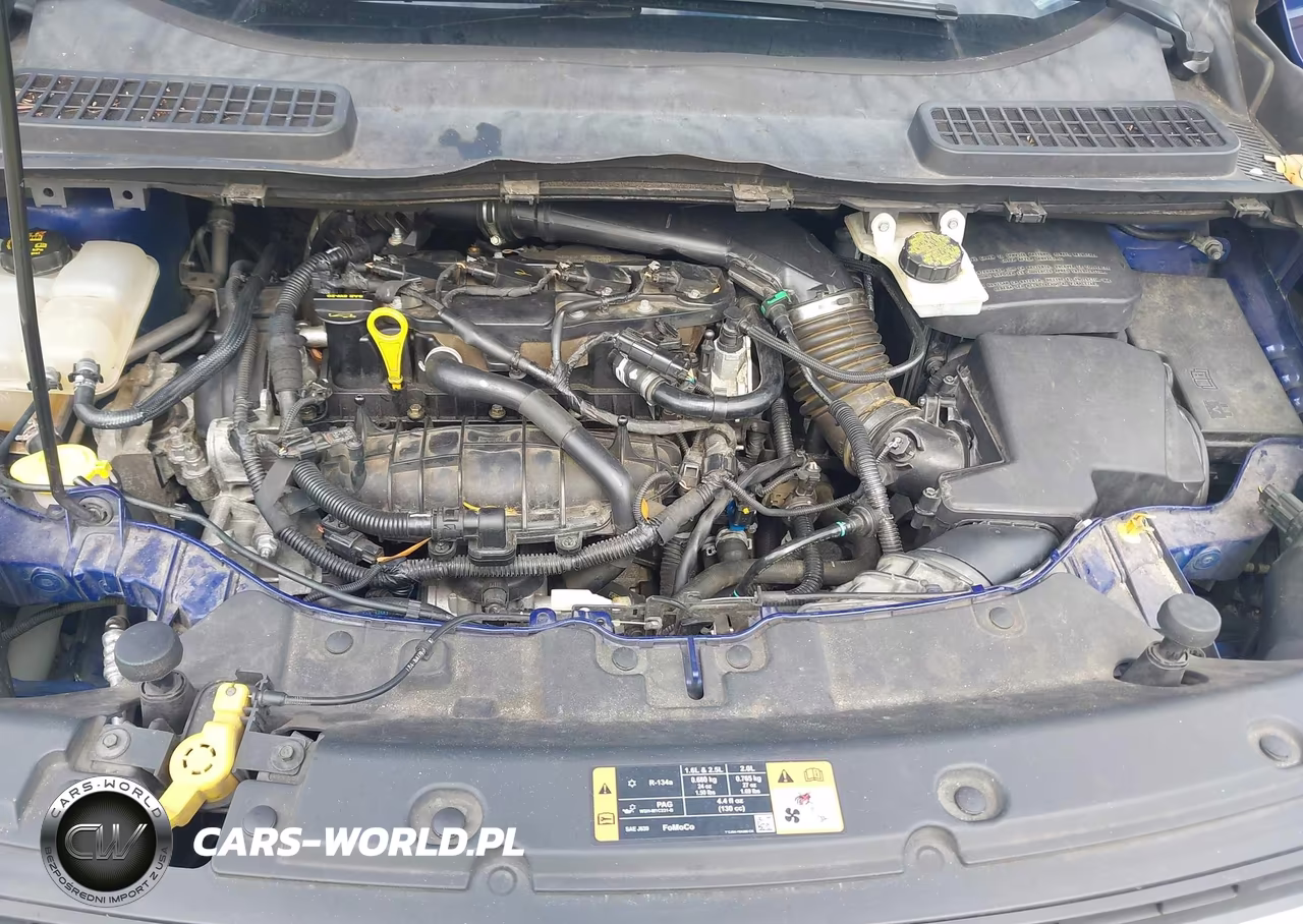 2014 Ford Escape Se VIN:1FMCU0GX2EUE12520 - 10