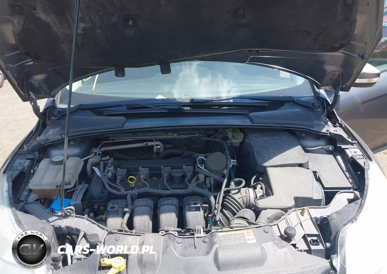 2013 Ford Focus Se VIN:1FADP3K23DL352061 - 10