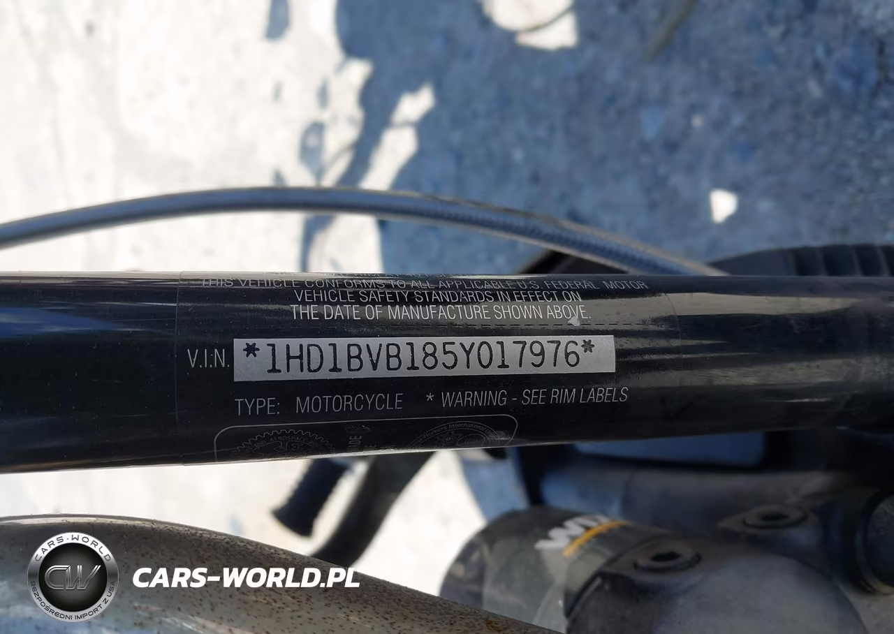 2005 Harley-Davidson Fxsti VIN:1HD1BVB185Y017976 - 10
