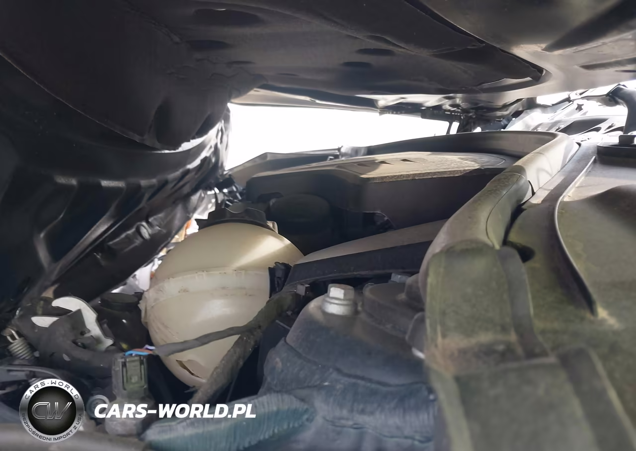 2016 BMW 428I VIN:WBA3N7C52GK226566 - 10