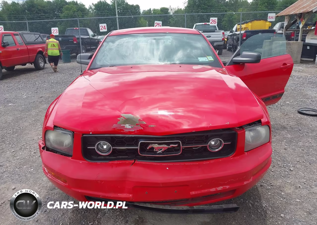 2007 Ford Mustang V6 Deluxe-V6 Premium VIN:1ZVFT80N575356790 - 6