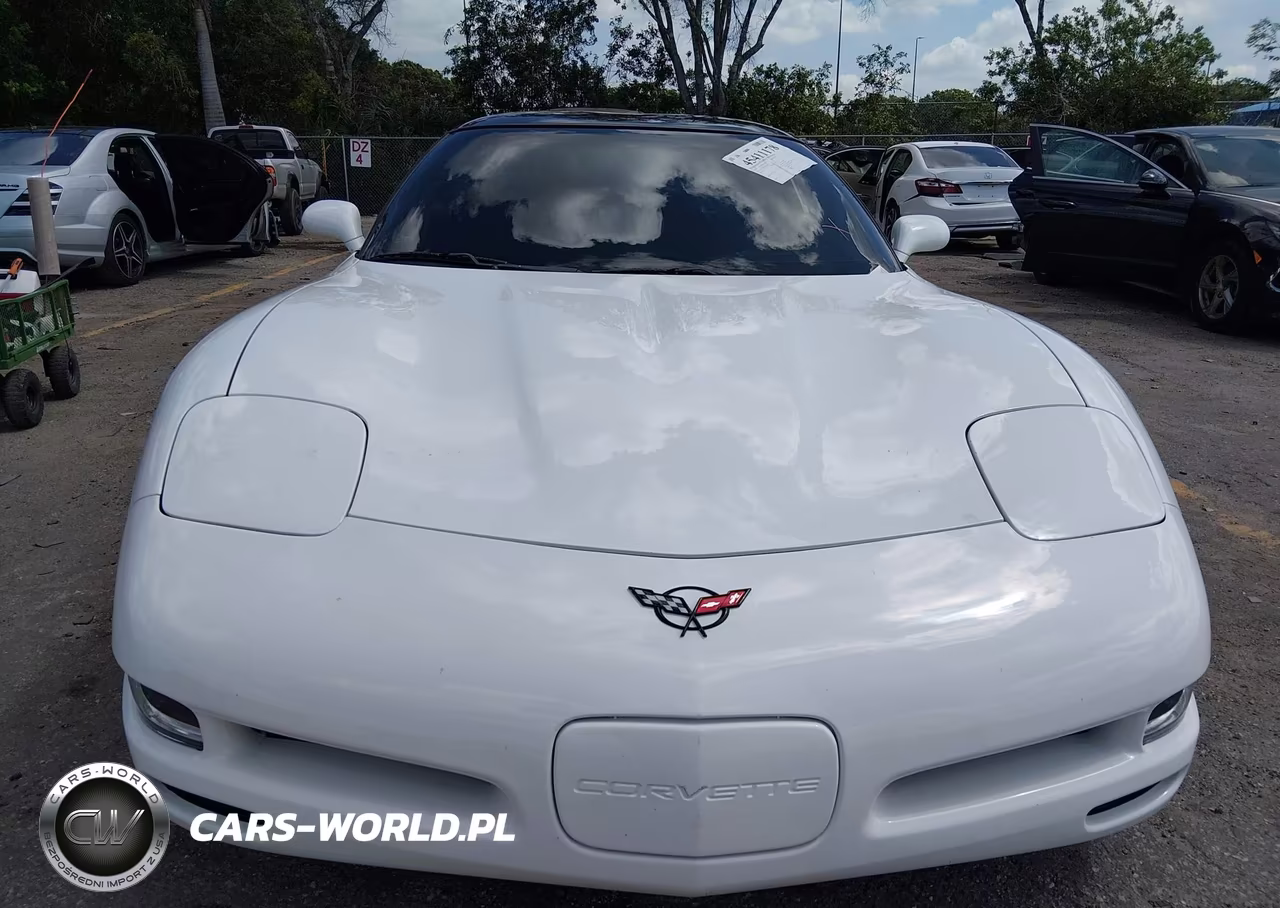 2004 Chevrolet Corvette VIN:1G1YY22G345128574 - 12