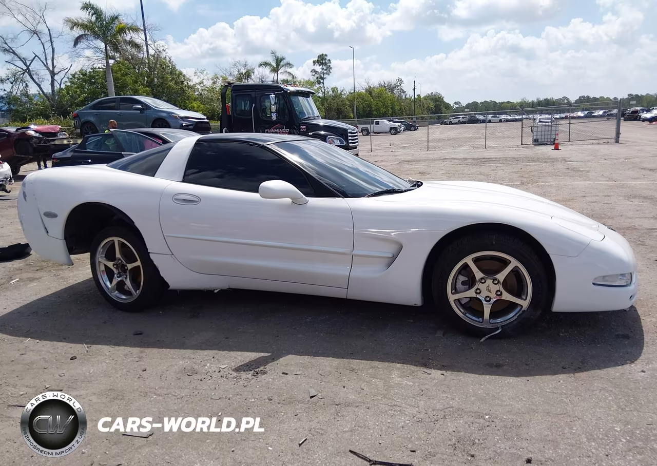 2004 Chevrolet Corvette VIN:1G1YY22G345128574 - 13