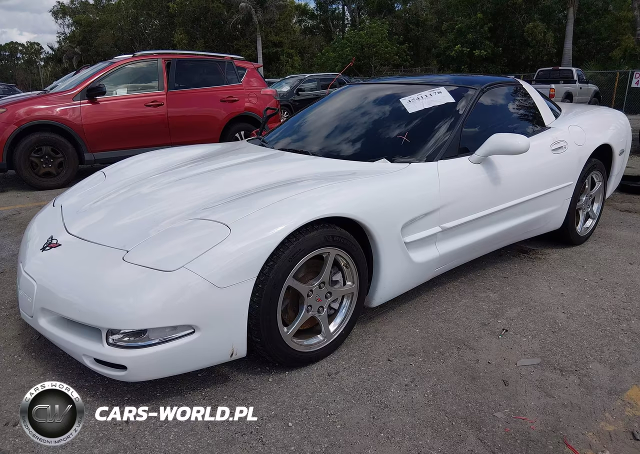 2004 Chevrolet Corvette VIN:1G1YY22G345128574 - 2