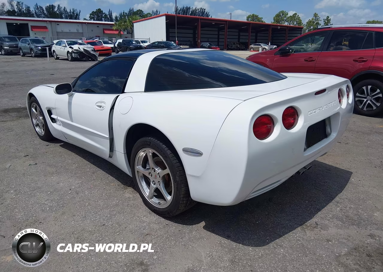 2004 Chevrolet Corvette VIN:1G1YY22G345128574 - 3