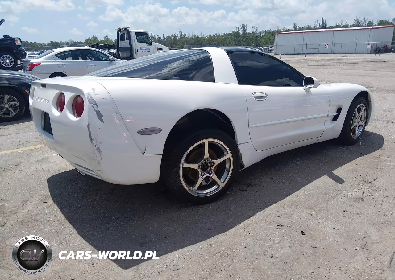 2004 Chevrolet Corvette VIN:1G1YY22G345128574 - 4