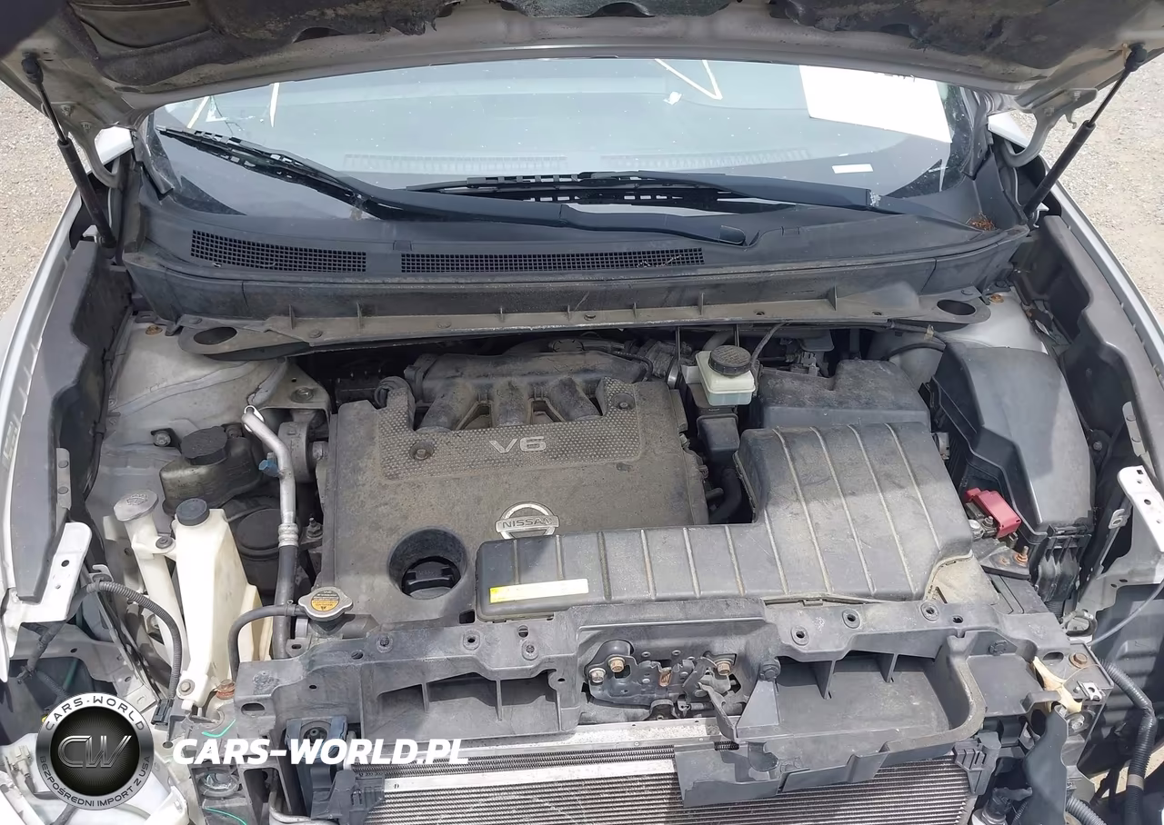 2009 Nissan Murano S VIN:JN8AZ18W29W133513 - 10