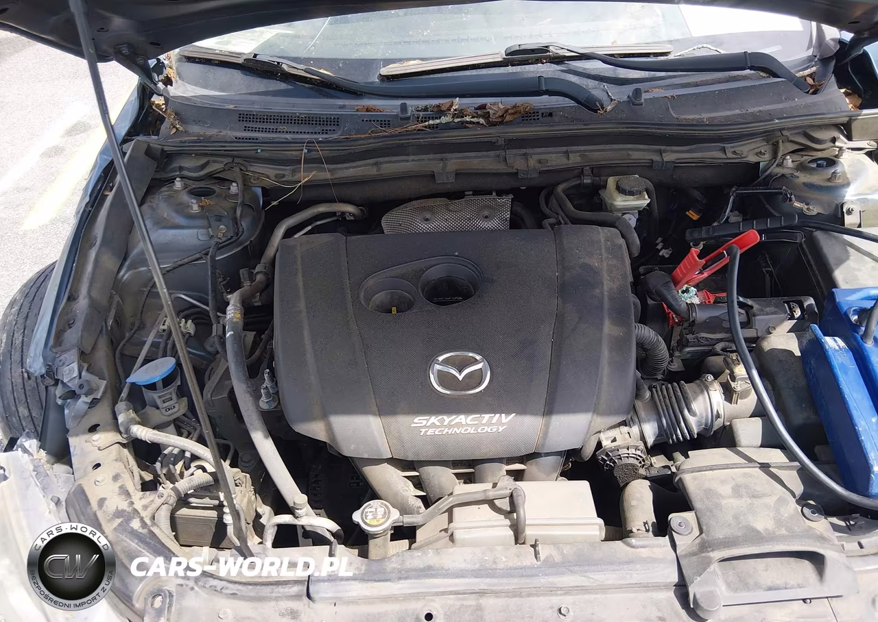 2016 Mazda Mazda3 I Sport VIN:3MZBM1J71GM304098 - 10
