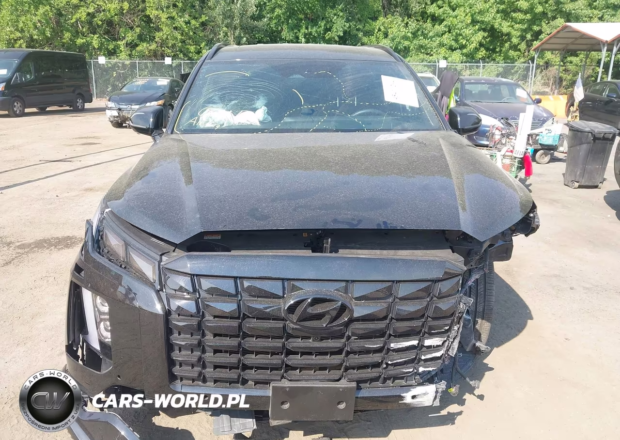 2025 Hyundai Palisade Calligraphy Night Edition VIN:KM8R7DGE1SU885411 - 12