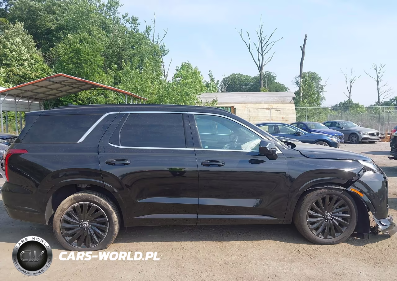 2025 Hyundai Palisade Calligraphy Night Edition VIN:KM8R7DGE1SU885411 - 13