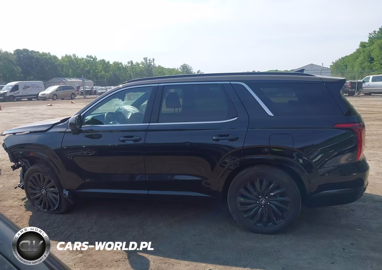 2025 Hyundai Palisade Calligraphy Night Edition VIN:KM8R7DGE1SU885411 - 14