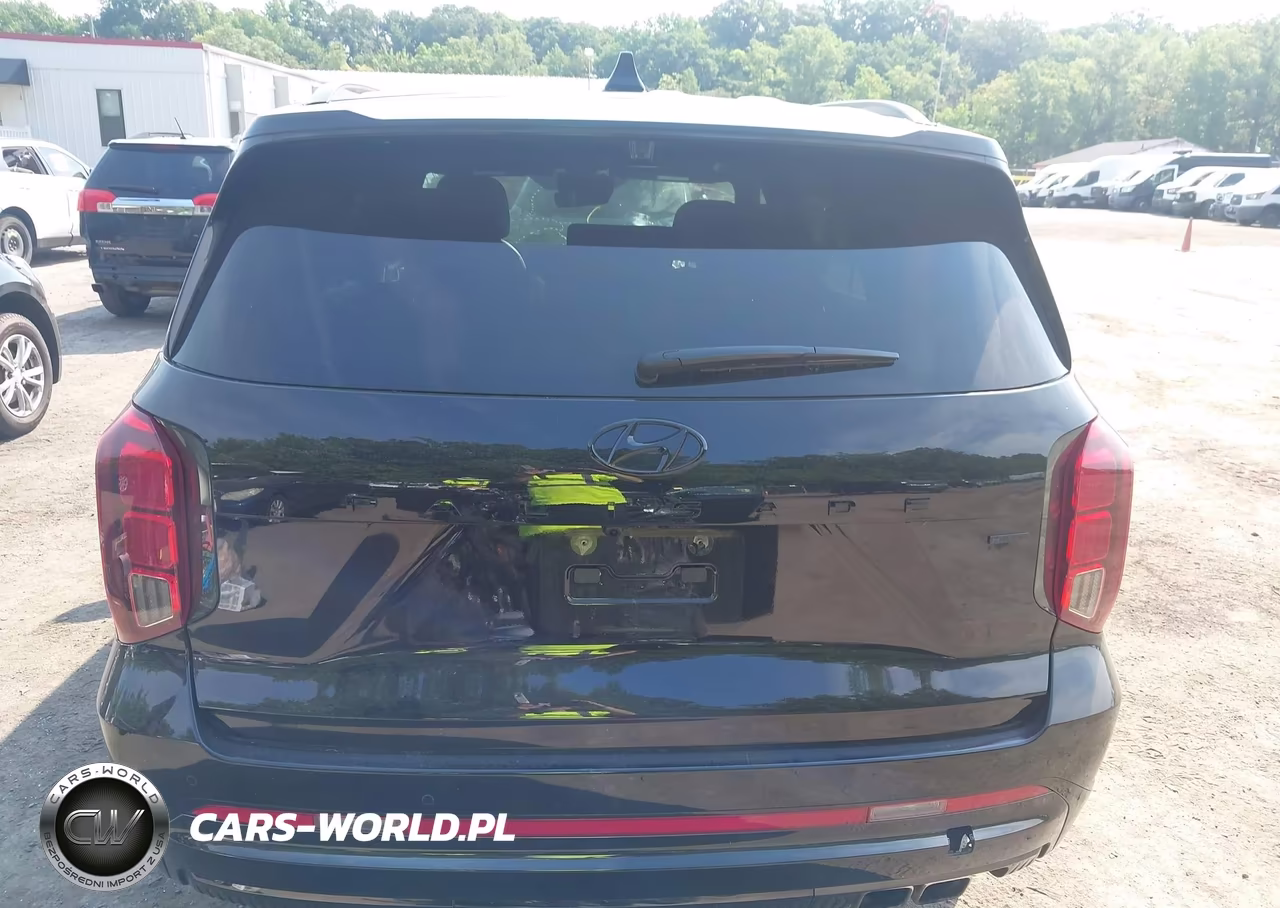 2025 Hyundai Palisade Calligraphy Night Edition VIN:KM8R7DGE1SU885411 - 16