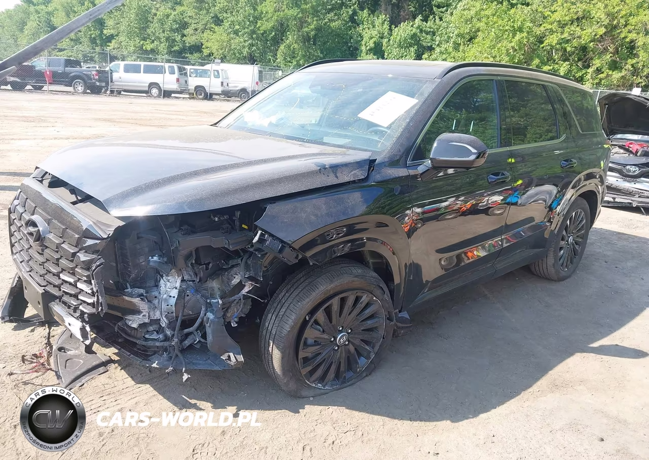 2025 Hyundai Palisade Calligraphy Night Edition VIN:KM8R7DGE1SU885411 - 2