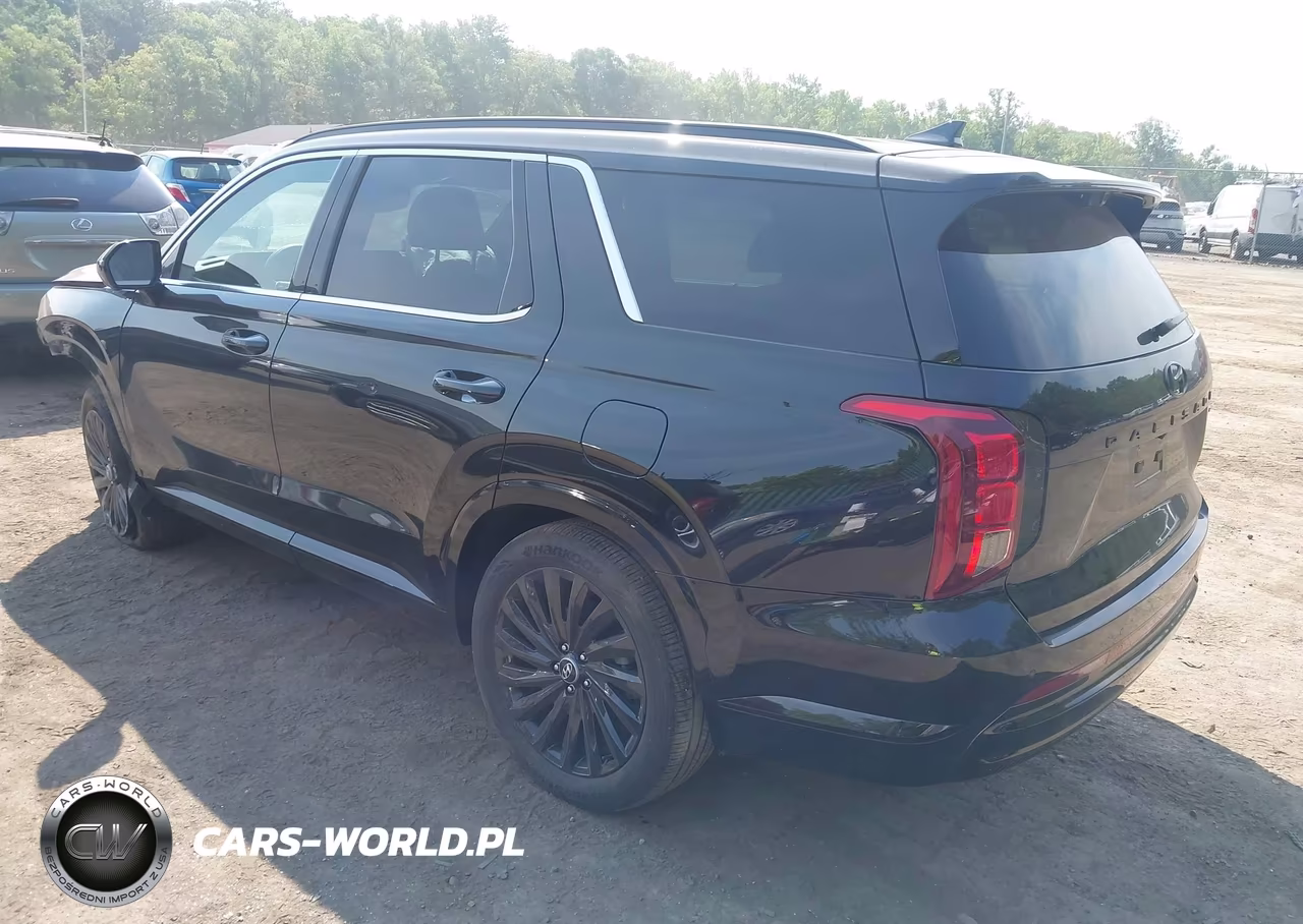 2025 Hyundai Palisade Calligraphy Night Edition VIN:KM8R7DGE1SU885411 - 3