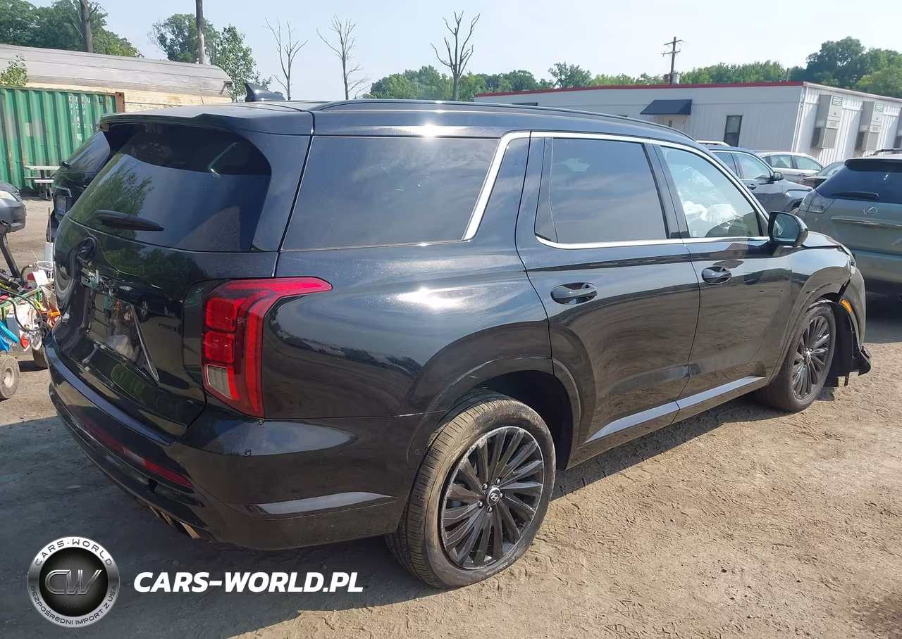 2025 Hyundai Palisade Calligraphy Night Edition VIN:KM8R7DGE1SU885411 - 4