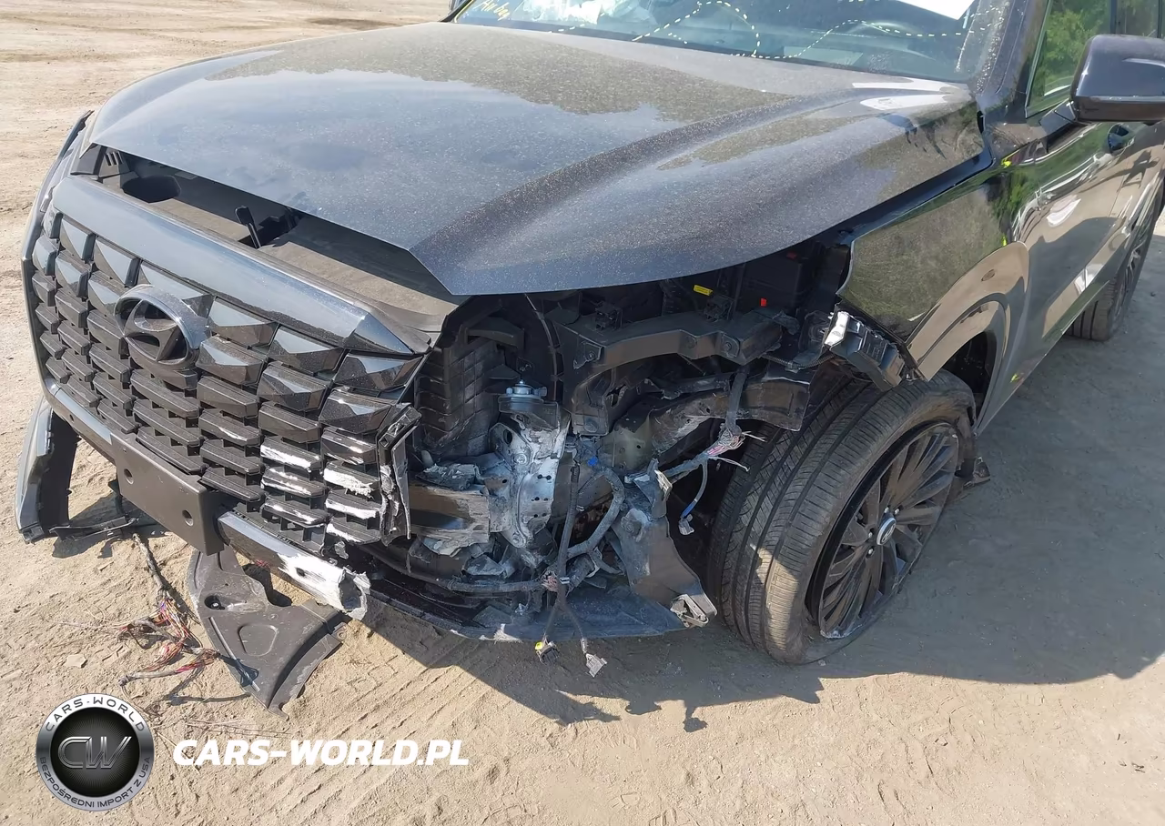2025 Hyundai Palisade Calligraphy Night Edition VIN:KM8R7DGE1SU885411 - 6