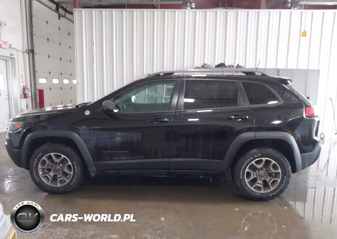 2021 Jeep Cherokee Trailhawk 4X4 VIN:1C4PJMBX1MD121342 - 17