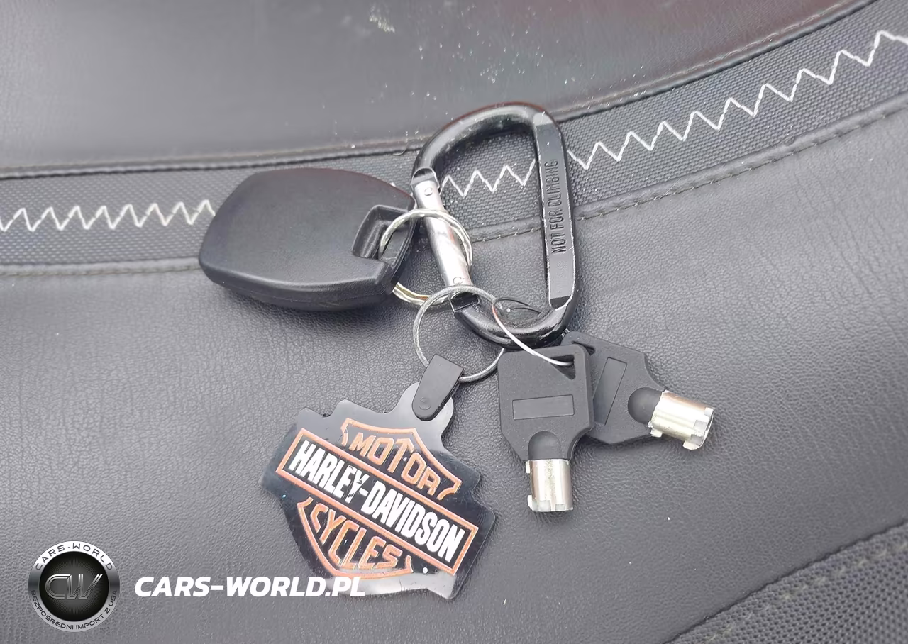 2024 Harley-Davidson Flhx VIN:1HD1KB710RB616841 - 11