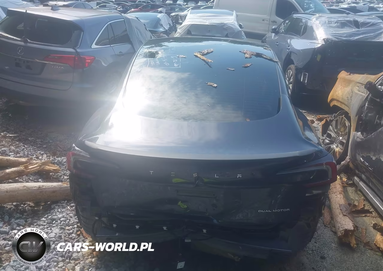 2024 Tesla Model 3 Long Range Dual Motor All-Wheel Drive VIN:5YJ3E1EB6RF810469 - 14