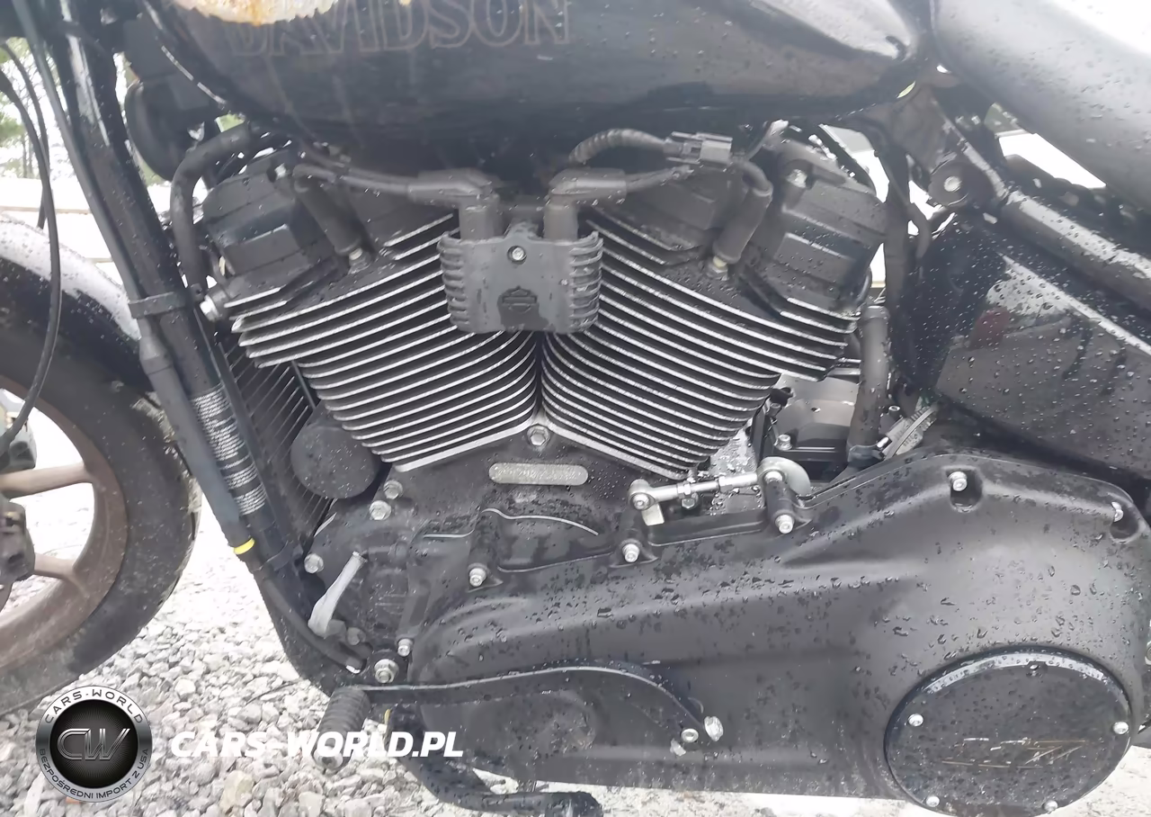 2022 Harley-Davidson Fxlrs VIN:1HD1YWZ10NB045591 - 9