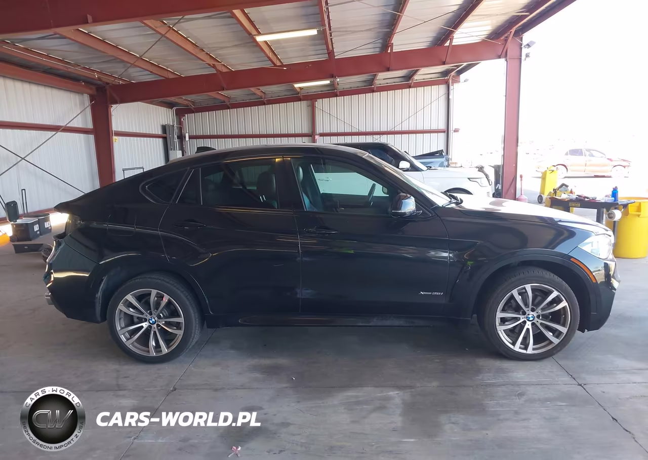 2015 BMW X6 xDrive35I VIN:5UXKU2C58F0F95075 - 14